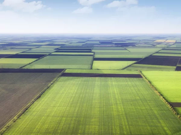 Agroportalda yana bir yangi xizmat ishga tushirildi