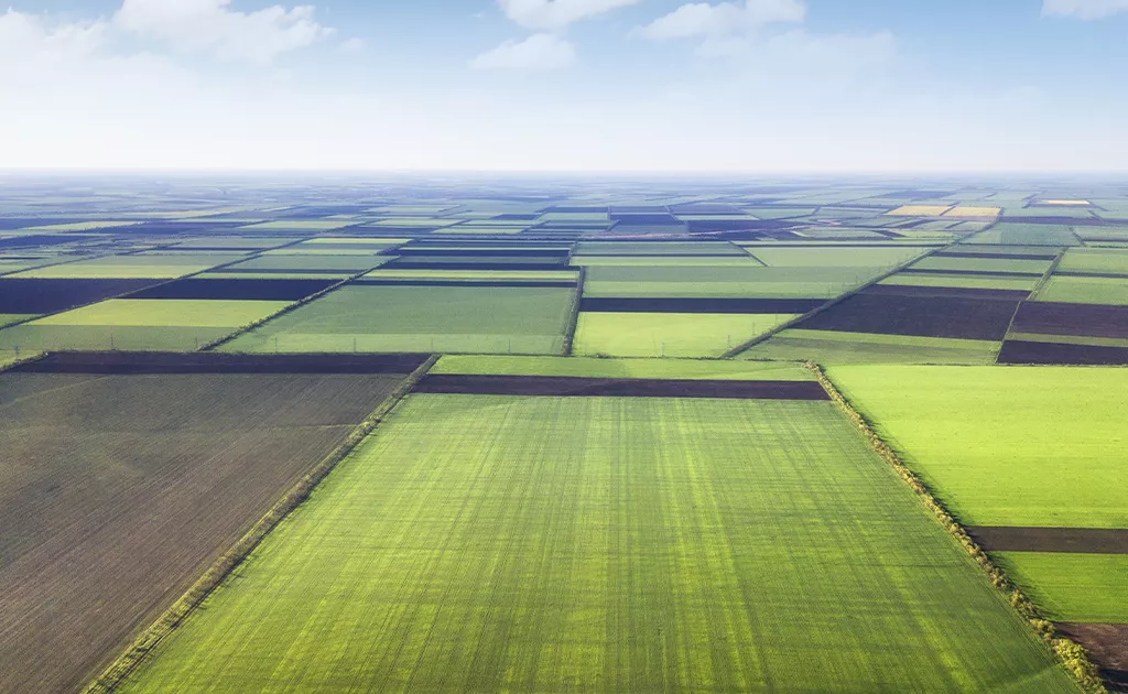 Agroportalda yana bir yangi xizmat ishga tushirildi